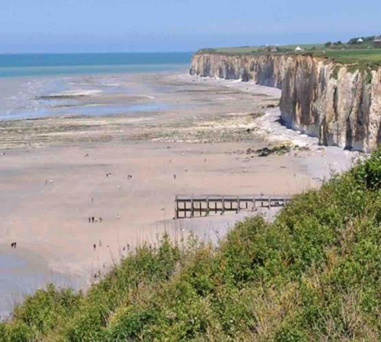 Superbe Appartement Entre Mer Et Ville Dieppe Exterior photo